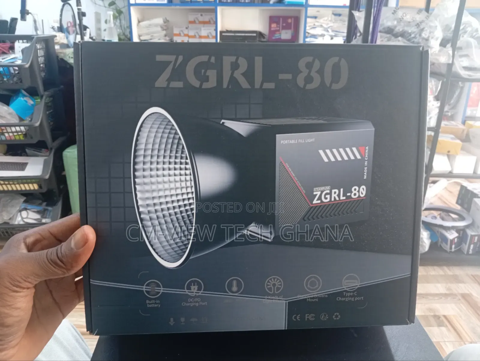 Palm Photography Lights (Zgrl-80)