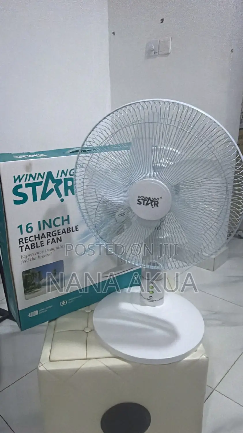 Rechargeable Fan