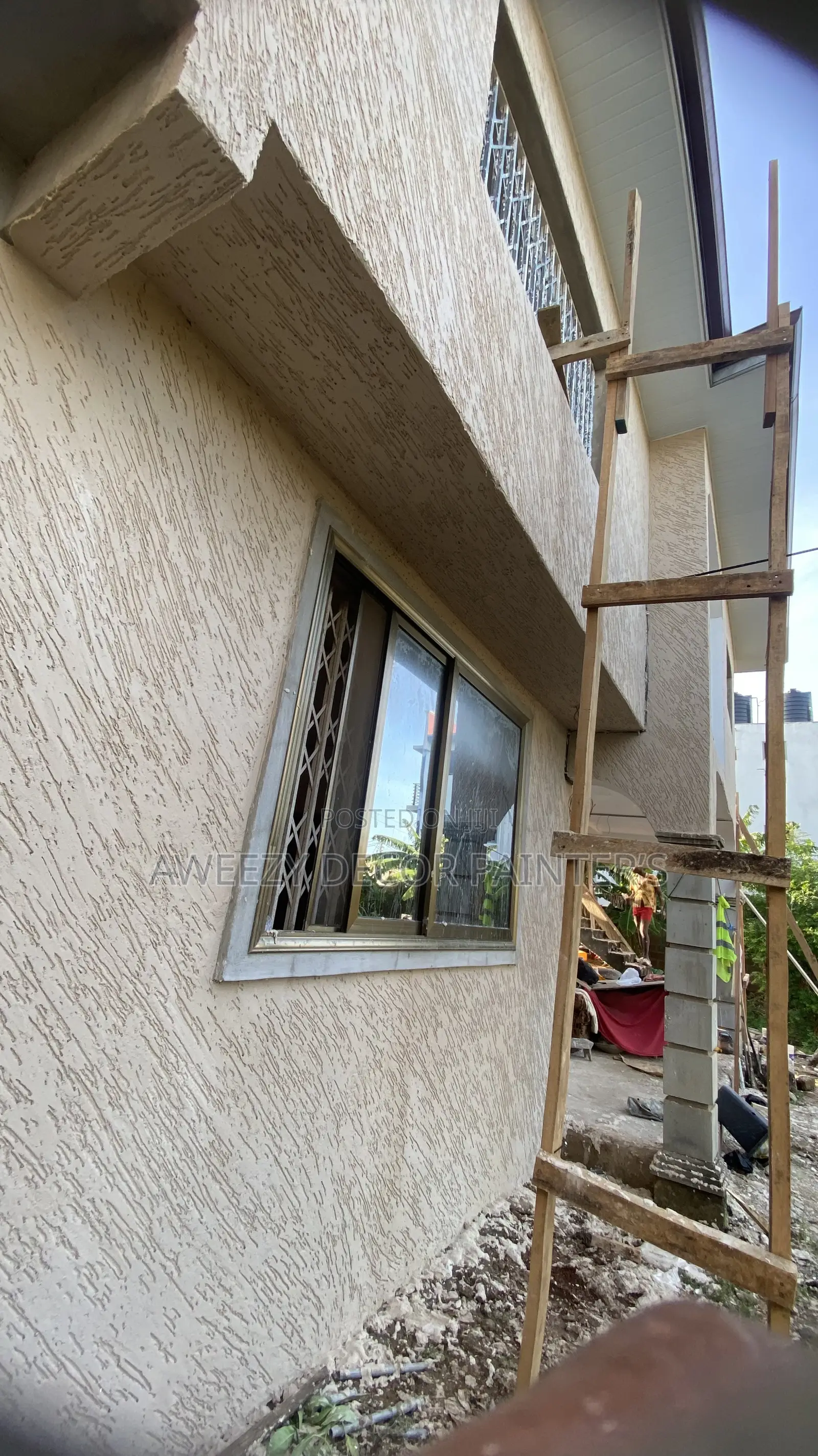 Graffiato Paint#Painting#Stucco#Text Coat#Skimming#Designs#Metalic