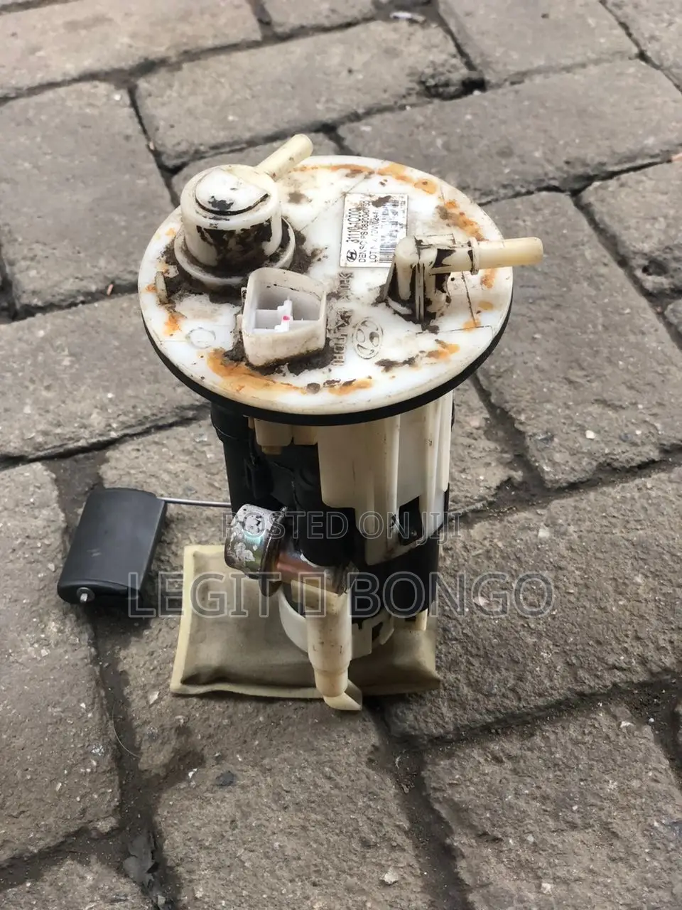 Genuine Car Fuel Pump
