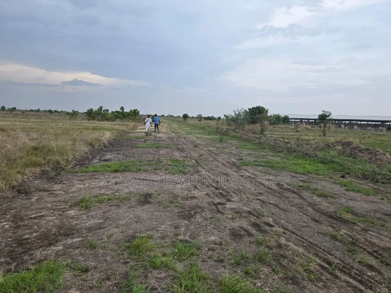 A. 4 Acres Land Is Forsale Location: Borteyman