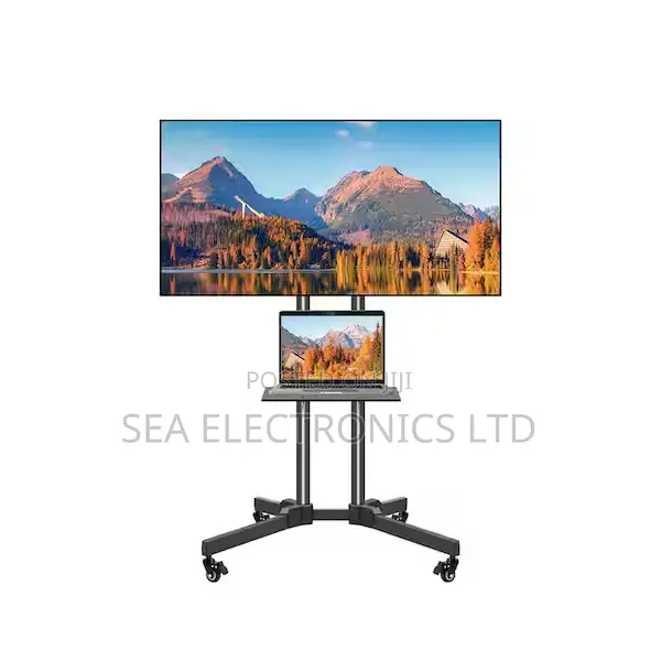 Fairview Mobile Tv