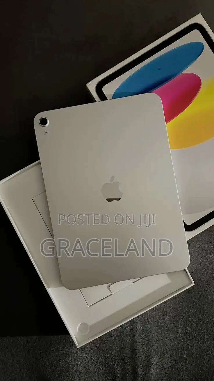 New Apple iPad Wi-Fi 256 GB Silver
