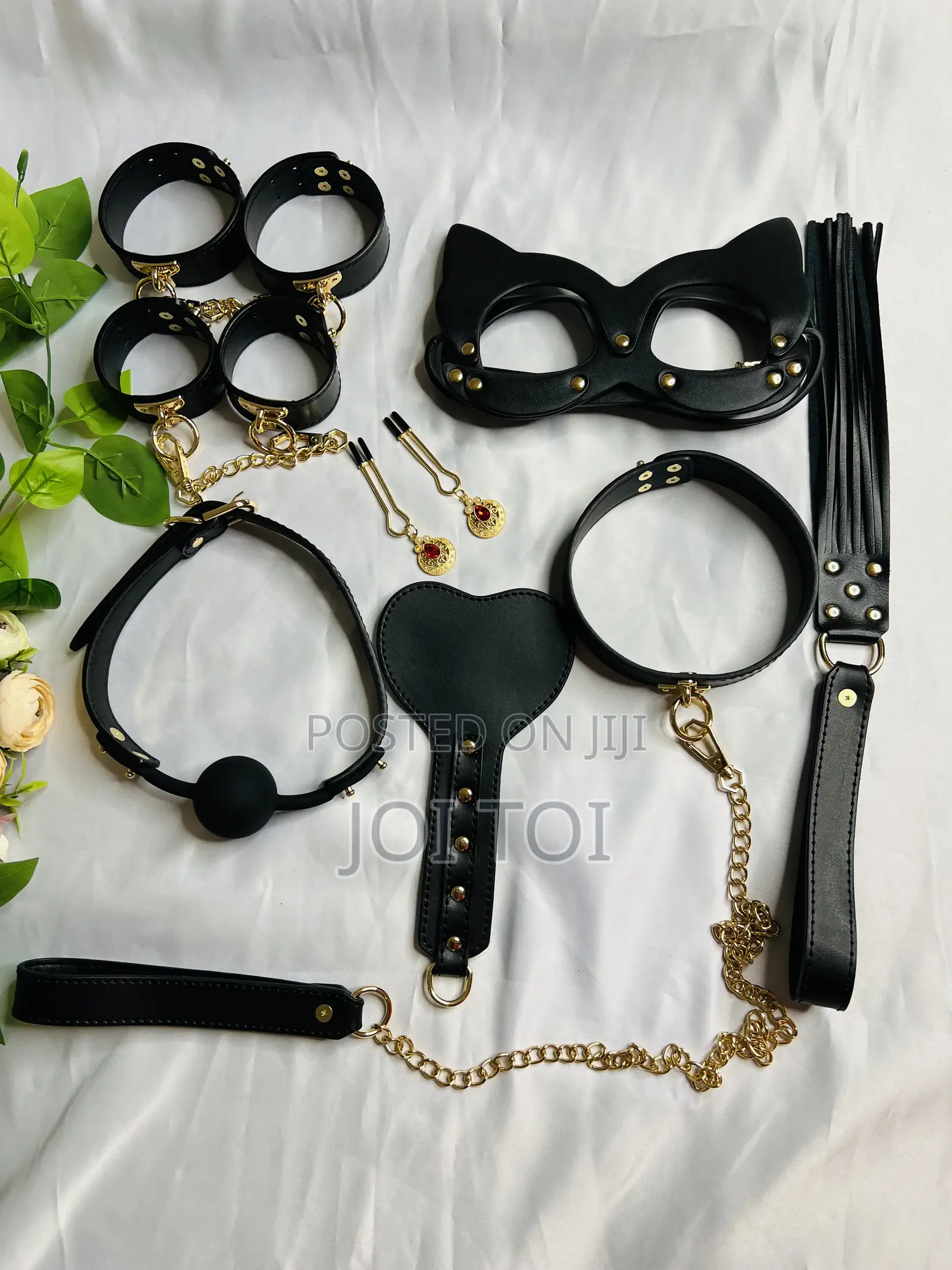 Sophisticated BDSM Set