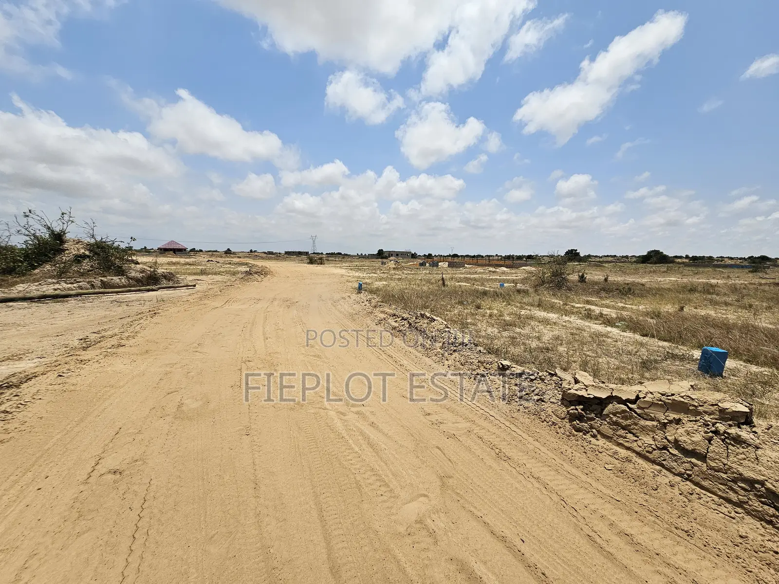 Litigation Free Plot at Tsopoli