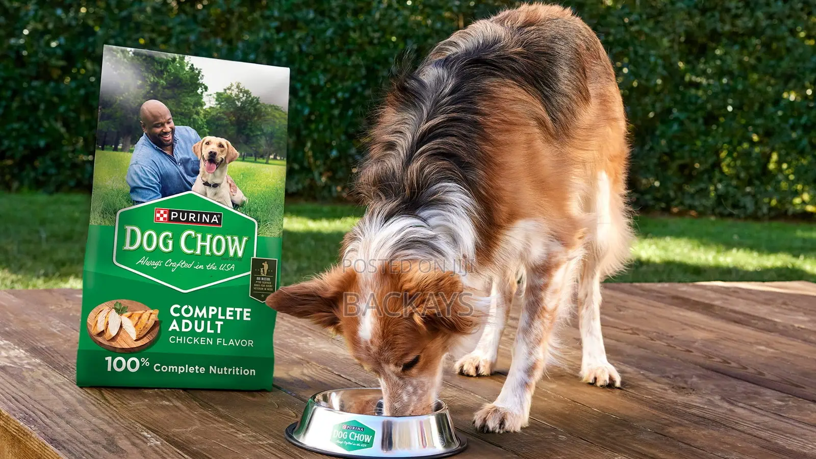 Quality Dog Food Shop - Purina, Arkwrights Etc - Adenta/Accra Delivery