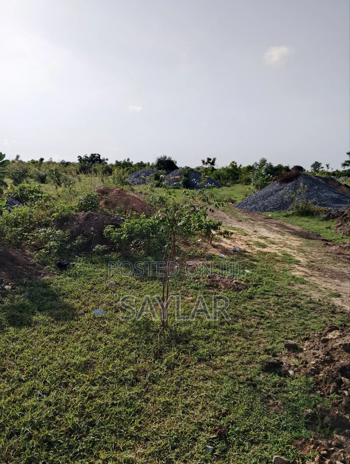Over 400 Acres of Demarcated Lands Afienya Main Road Side for Sale