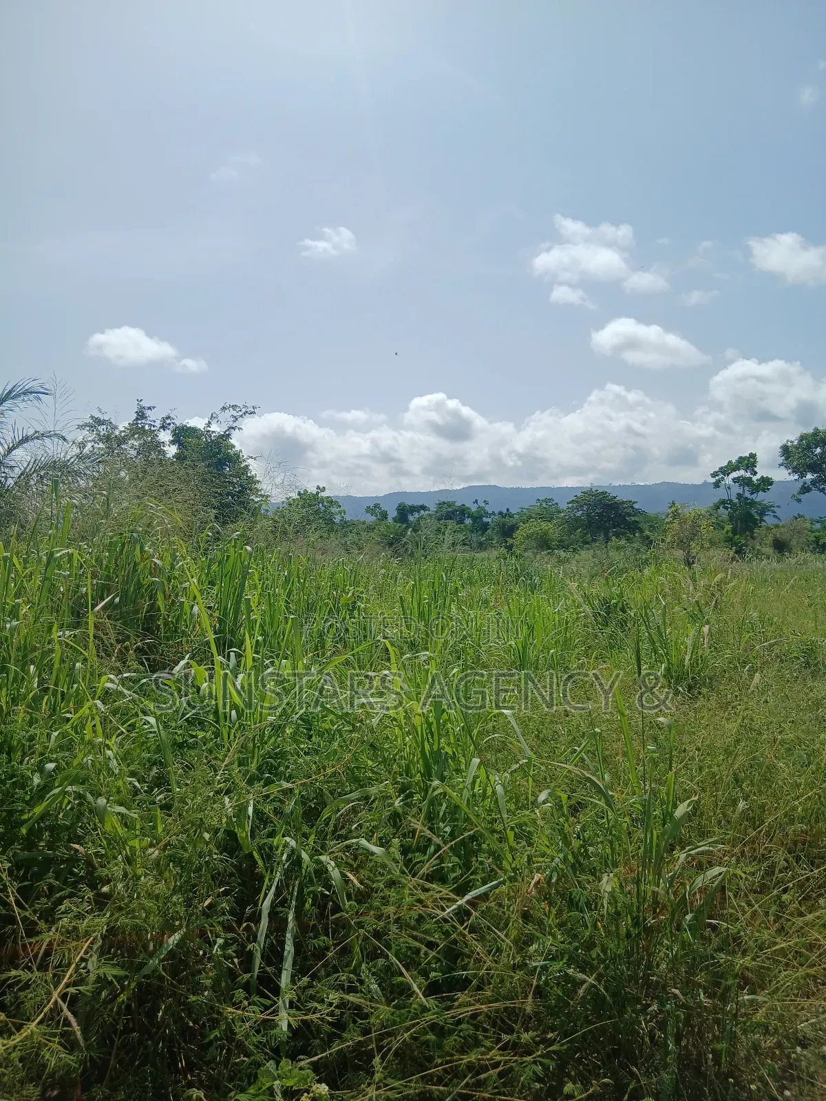 Acre Of Fertile Farm Land In Hohoe For Sale