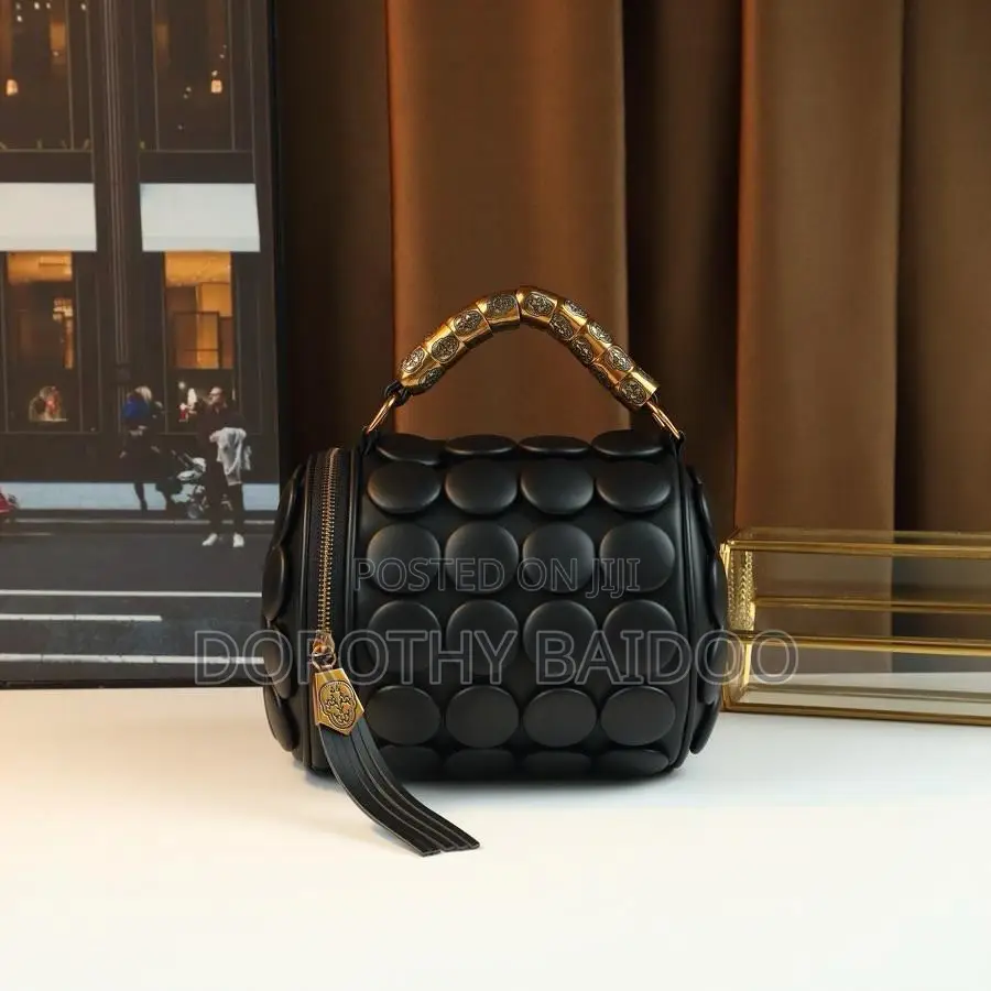 Explendid Bag for Ladies