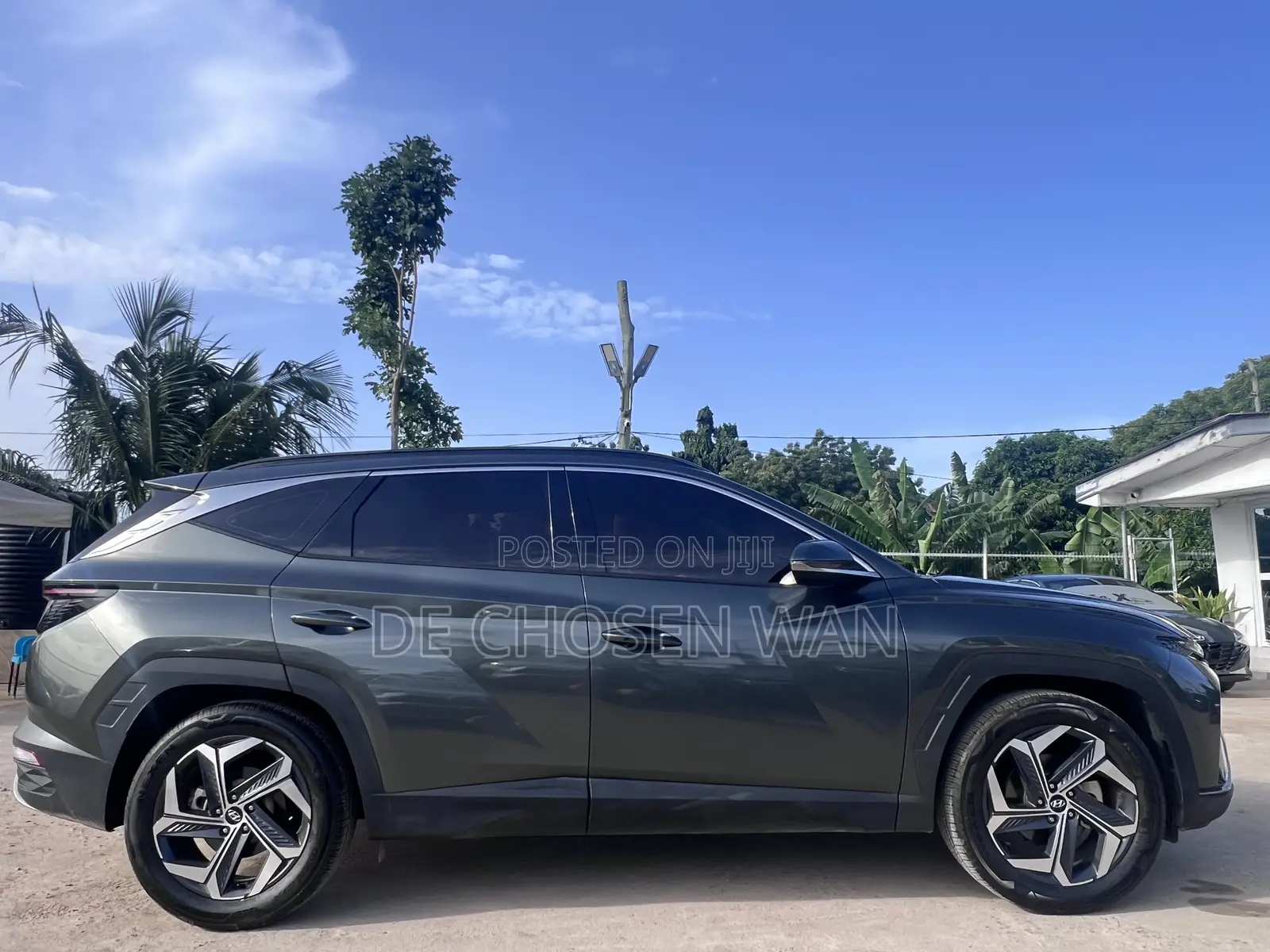 Hyundai Tucson Limited 2024 Green