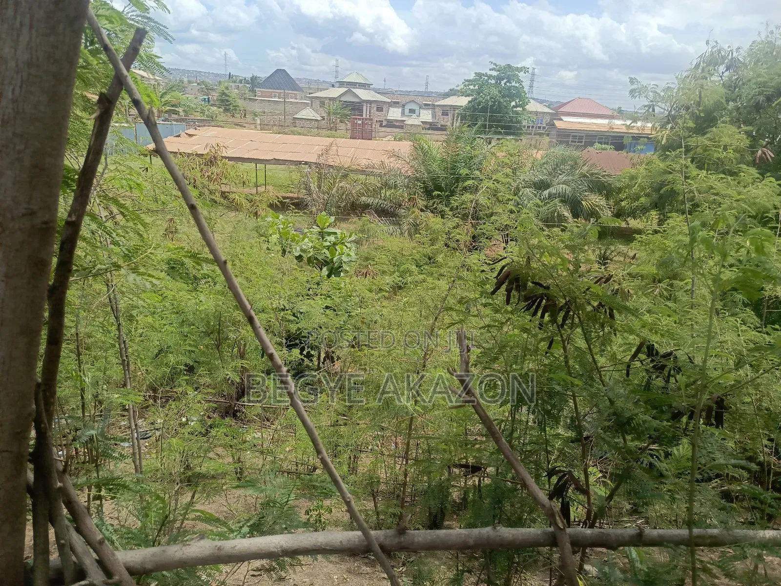 25 Acres Farm Land at Kintapo for Sale