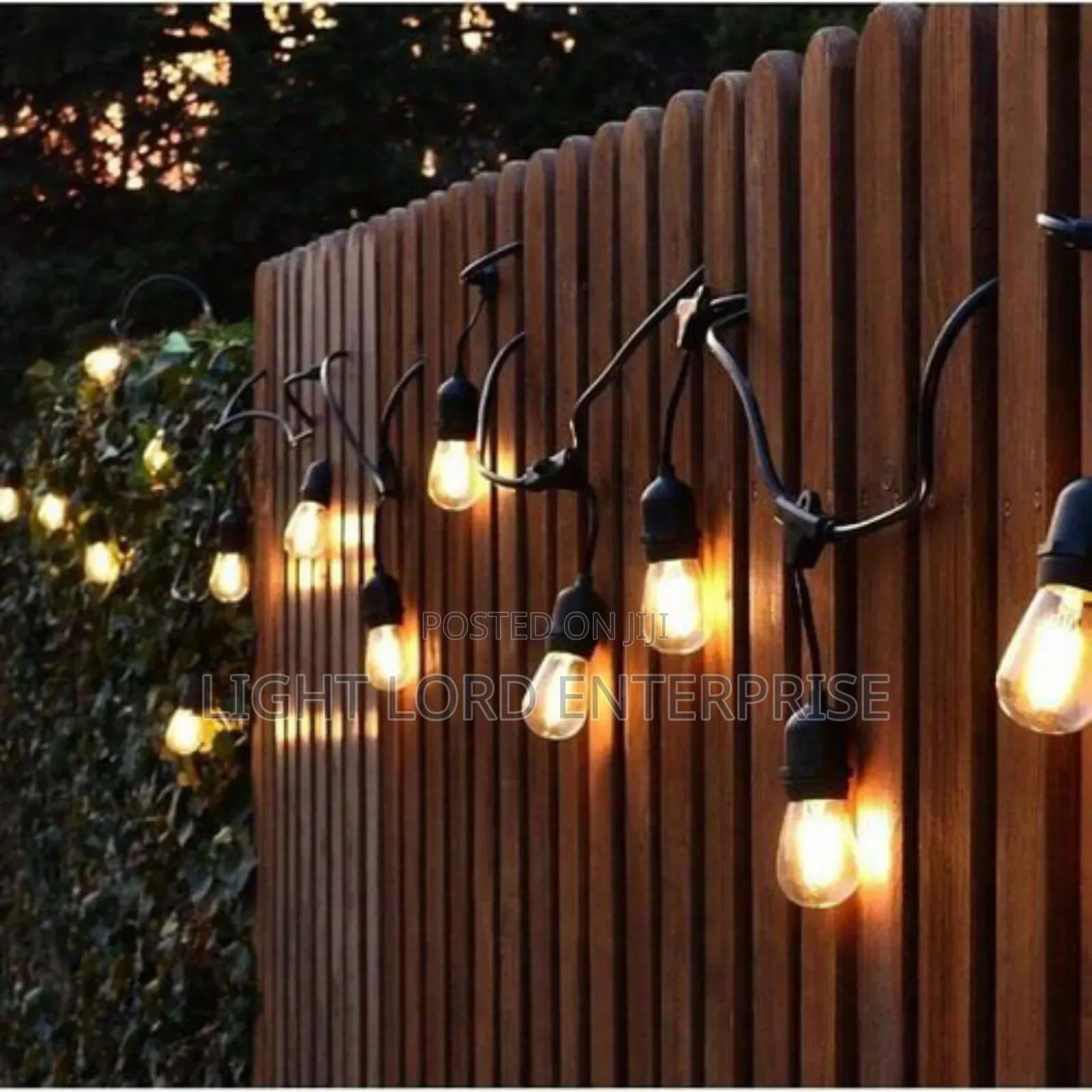 ) ( 000) Spring Led Light 20bulbs and 10meters