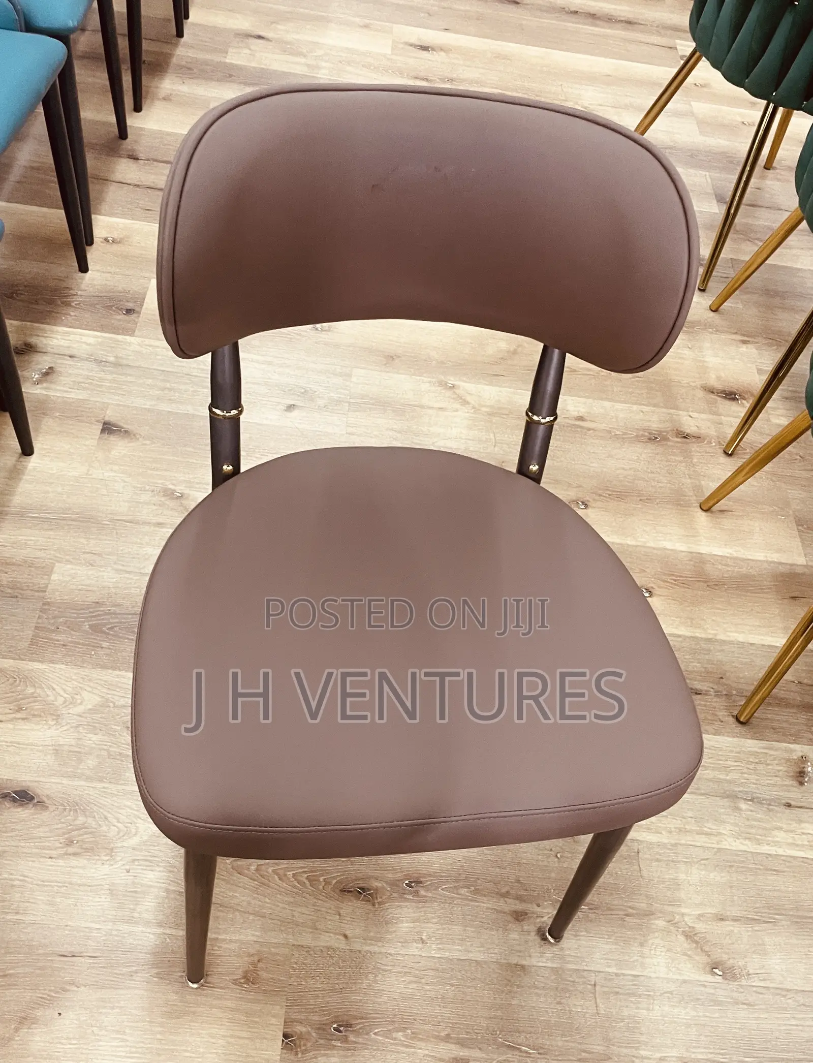 Leisure Chair/ Auditorium Chair