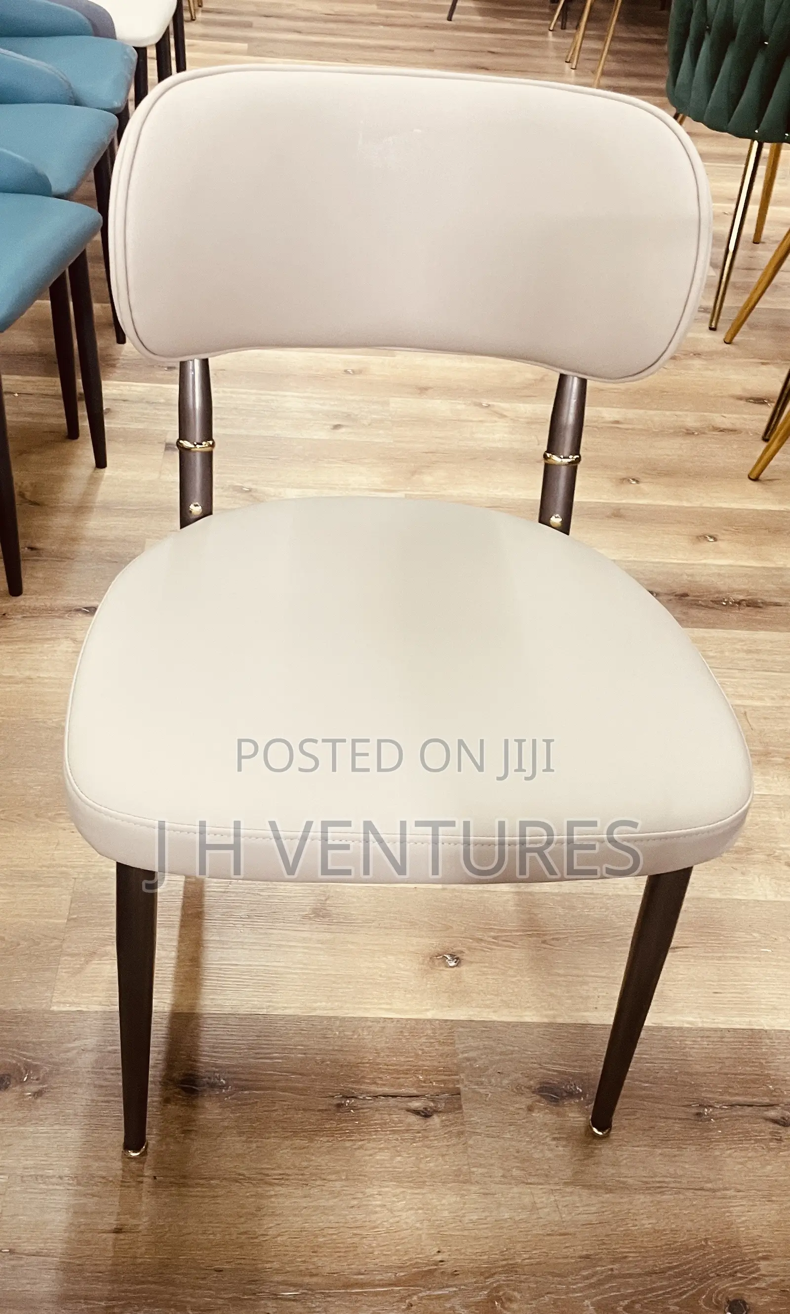 Leisure Chair/ Auditorium Chair