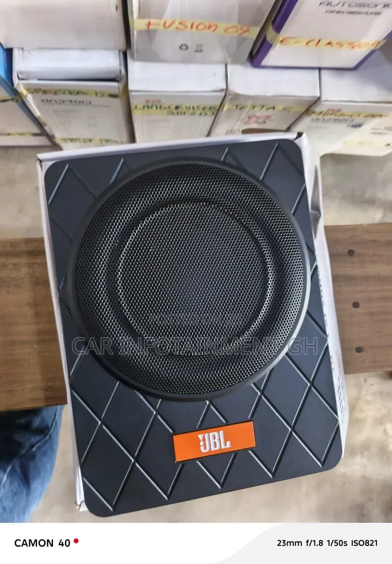Quality 10 Inches Under Seat Subwoofer (Flat Woofer)