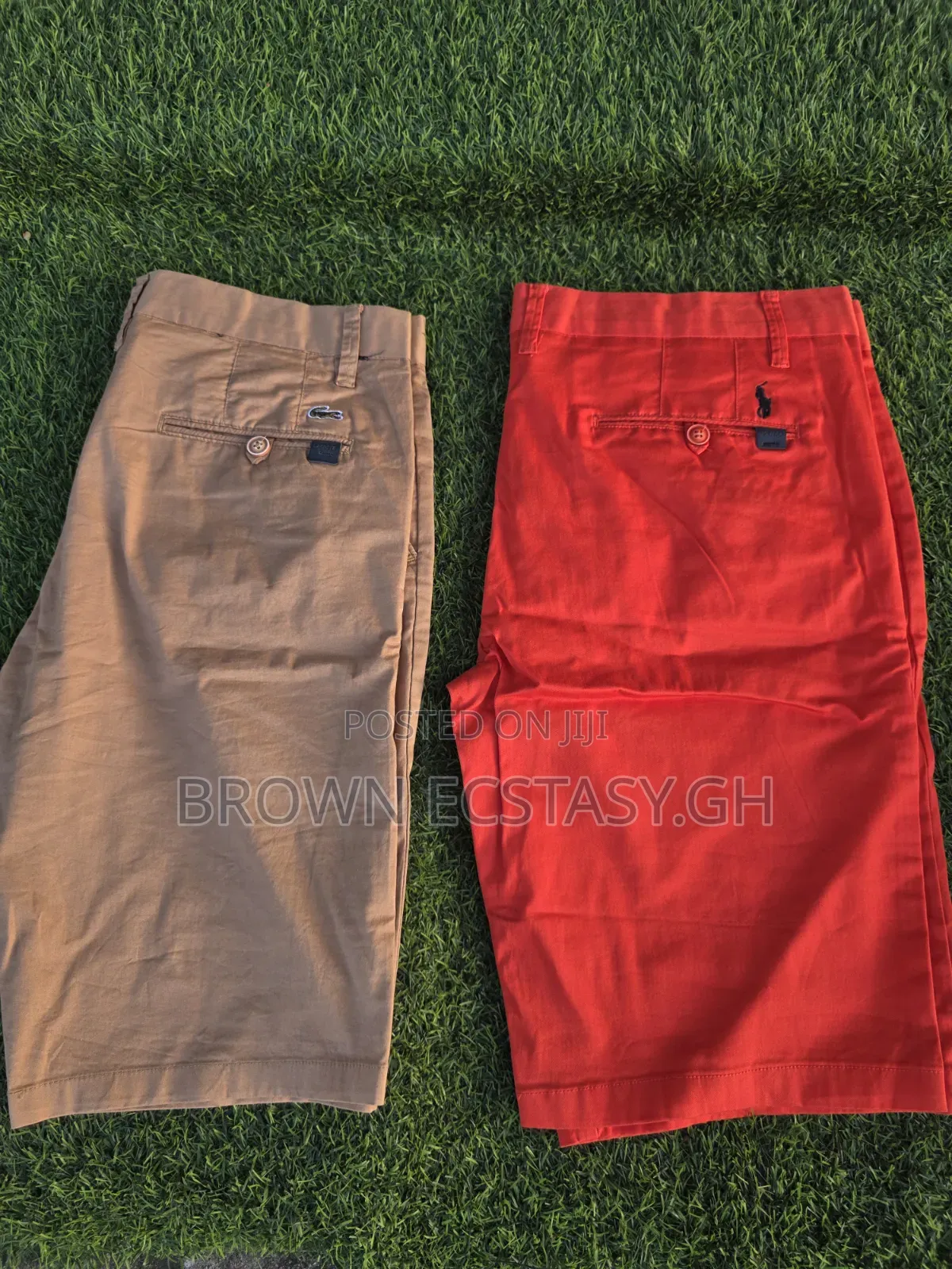 Chinos Shorts (Polo, Lacoste)