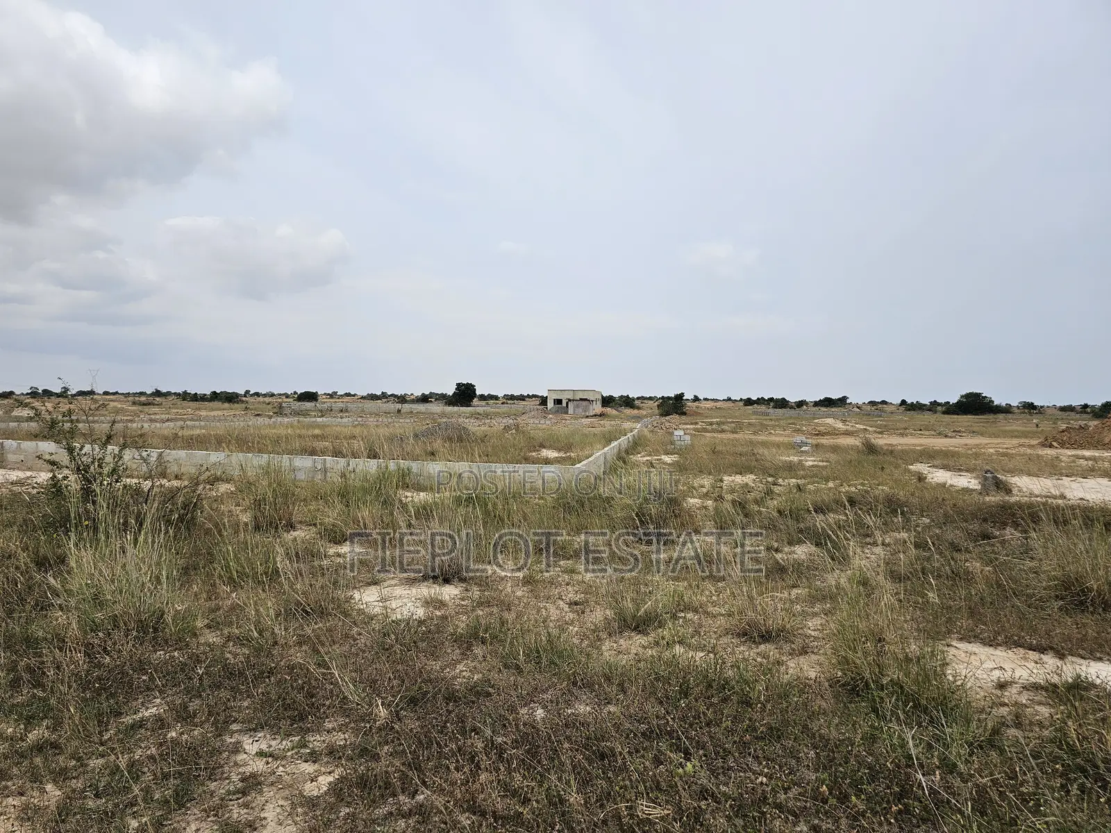 Your Dream Plot Awaits at Tsopoli Skyport City- Half Plot