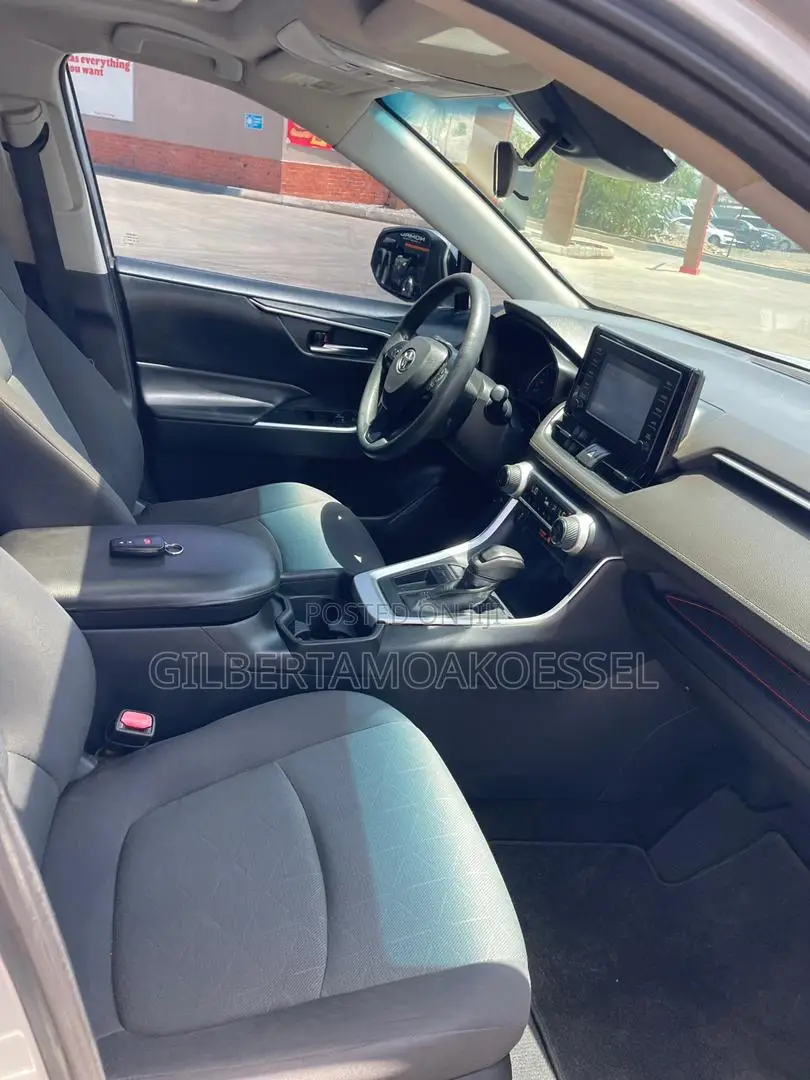 Toyota RAV4 XLE Premium AWD 2019 Silver