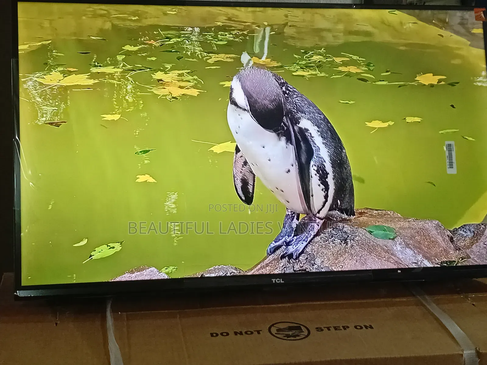 TCL 32” Digital Led Tv for Quality Viewing Experience