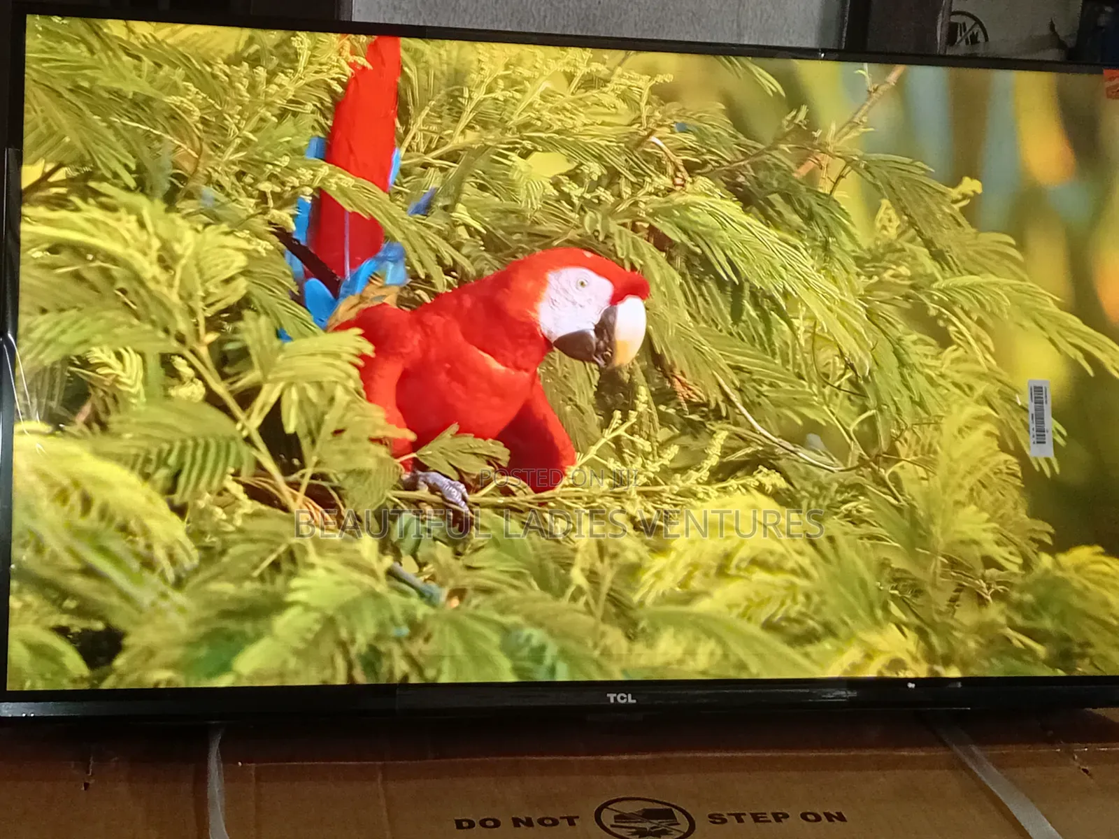 TCL 32-Inch Tv With High Quality Audio Performance