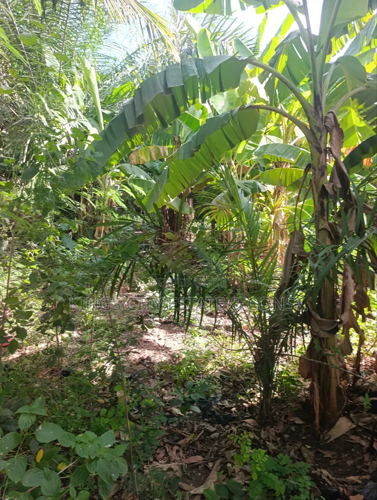 Genuine Land for Sale (Half)