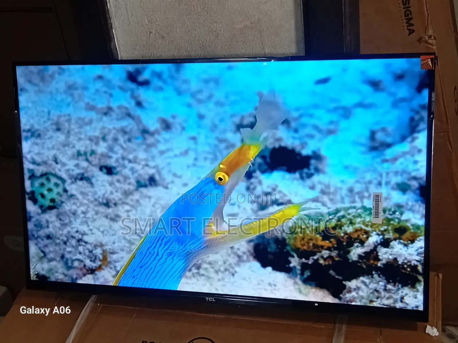 TCL 32-Inch Hd Ready Tv – Perfect for Every Room