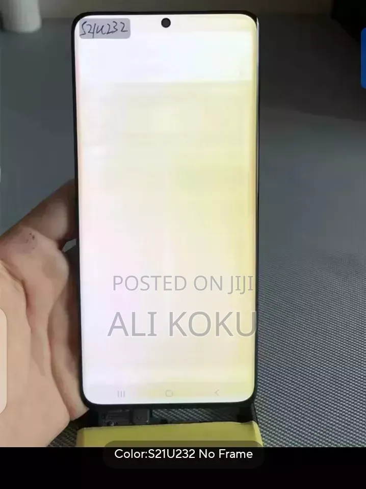 Samsung S21 Ultra Screen. With Small Burn