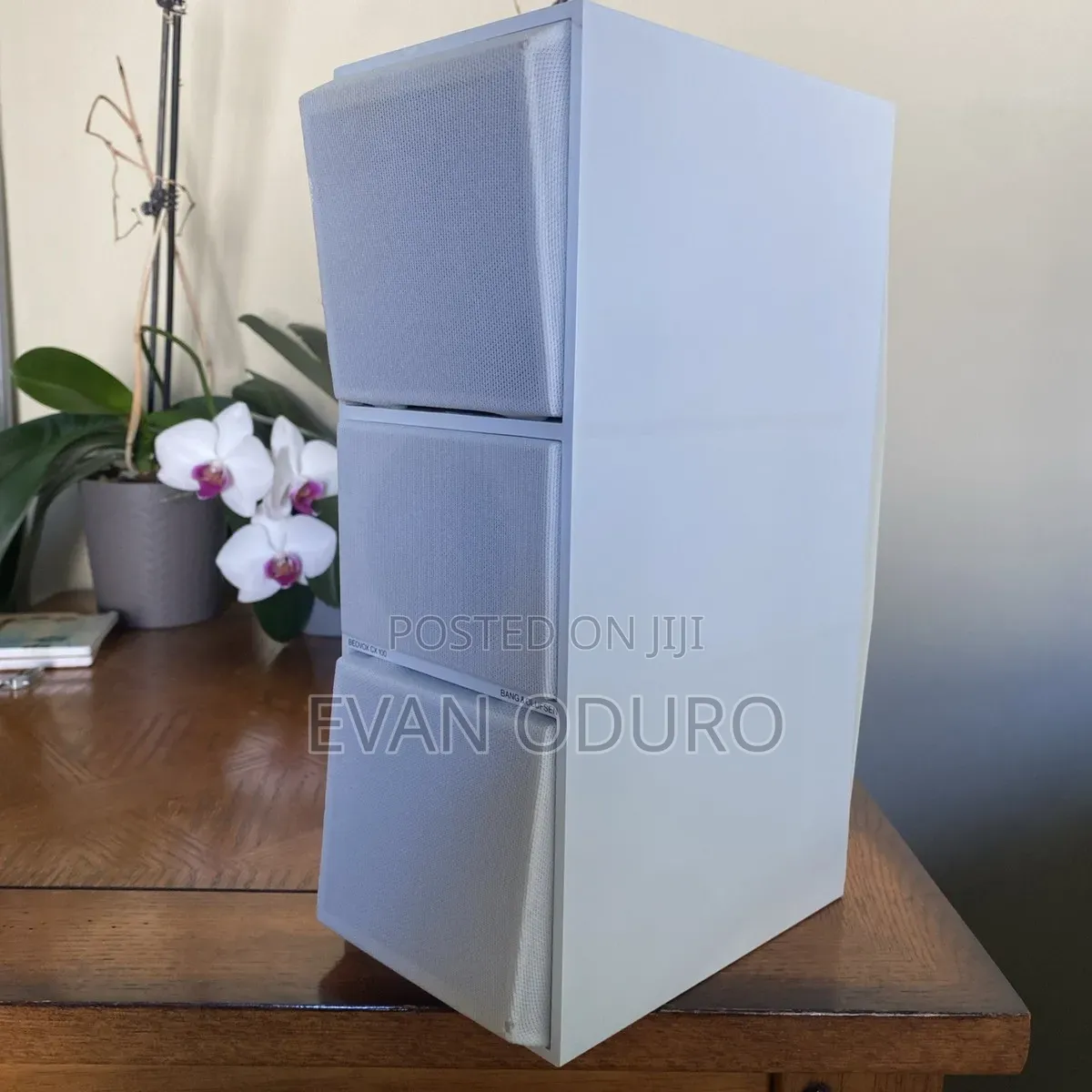 Bang Olufsen Beovox Cx100 Are Compact,Bookshelf High-Quality Sound