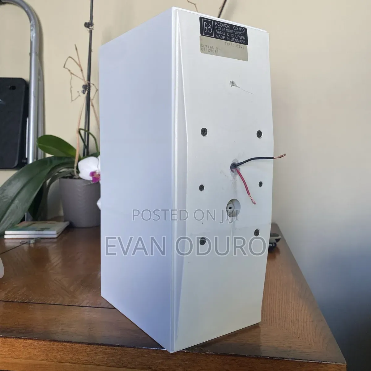 Bang Olufsen Beovox Cx100 Are Compact,Bookshelf High-Quality Sound