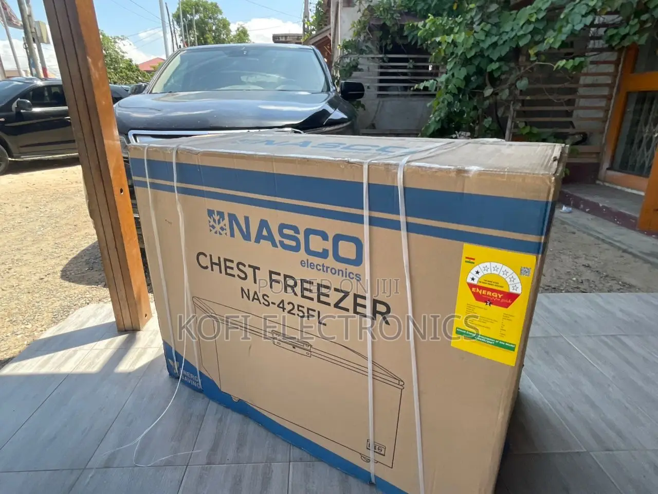 Nasco 316l Spacious Chest Freezer for Home Business