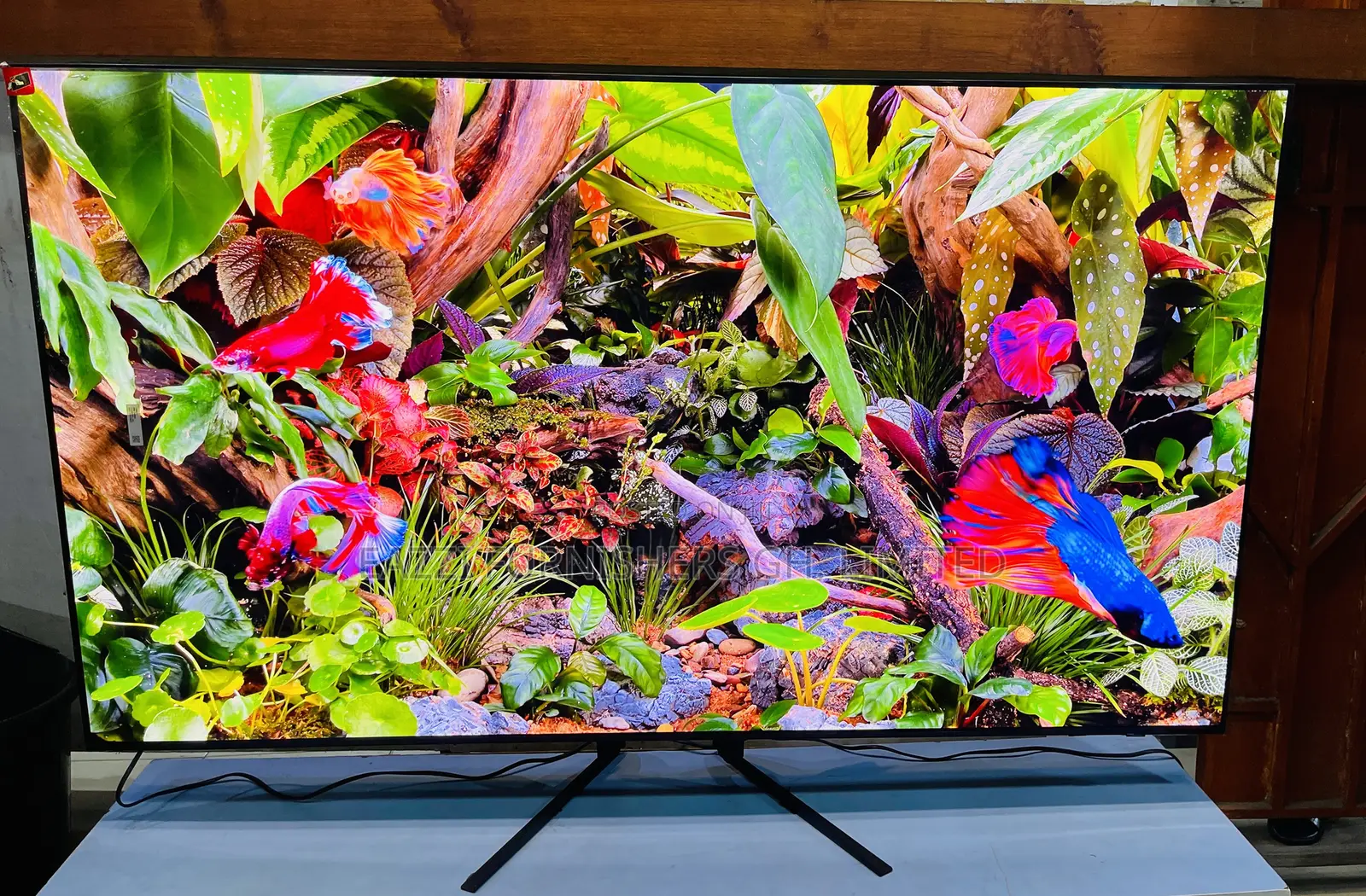 High Vibrant Color Samung Oled Tv at 144 Hz 65 Inches Smart HDR Uhd