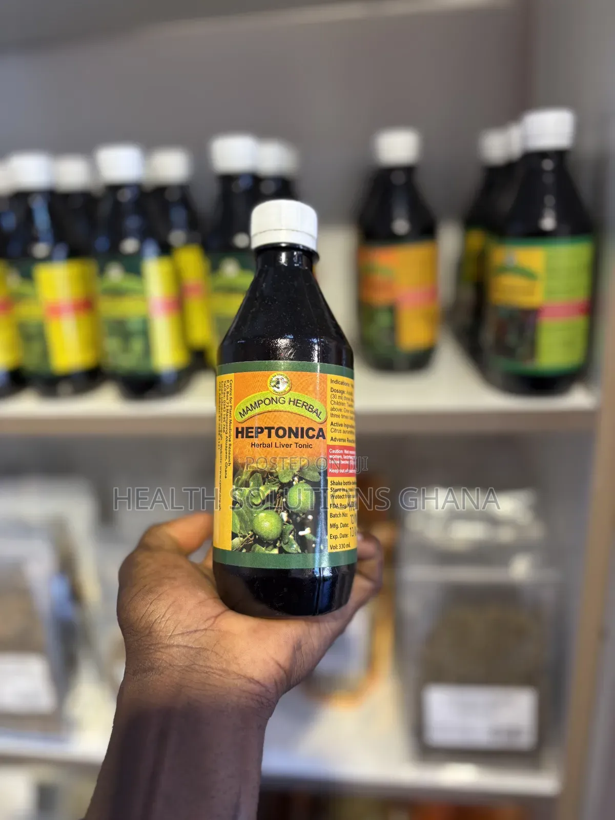Heptonica for Liver Digestive Wellness Support