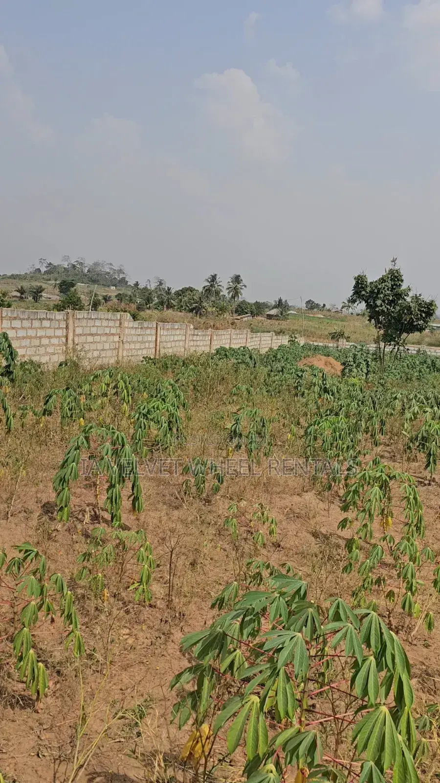 6 and Half Plots for Sale