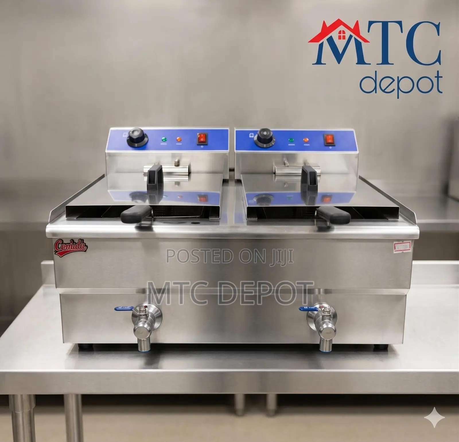 Electric Fryer
