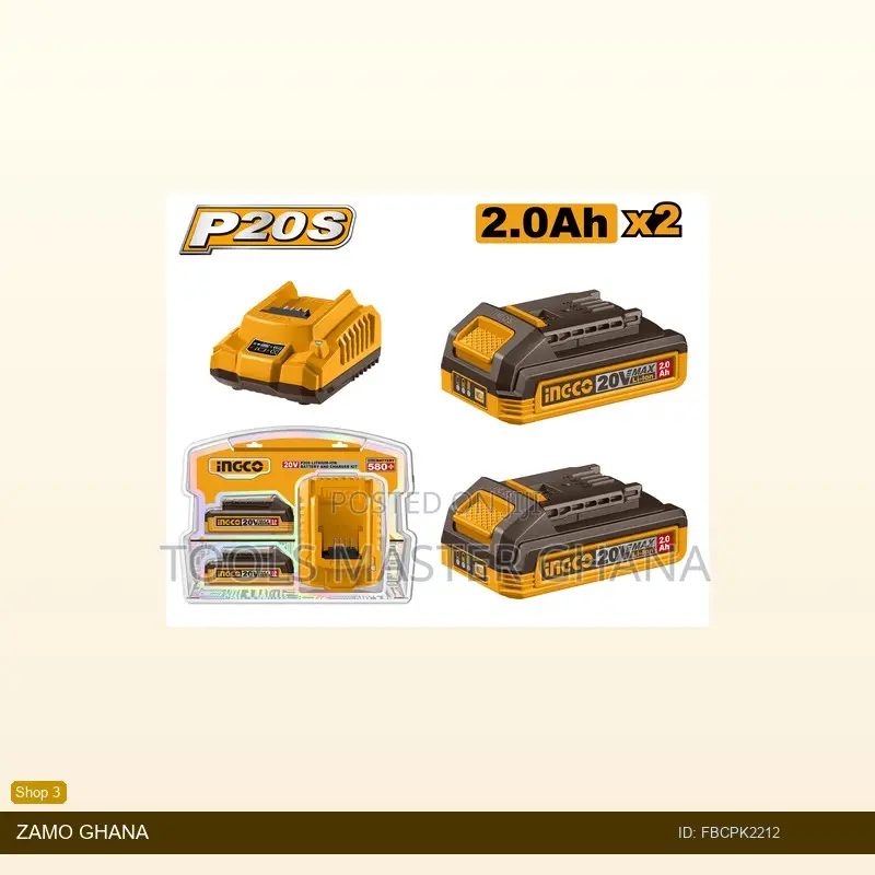 P20s Lithiumion Battery and Charger - Fbcpk2212