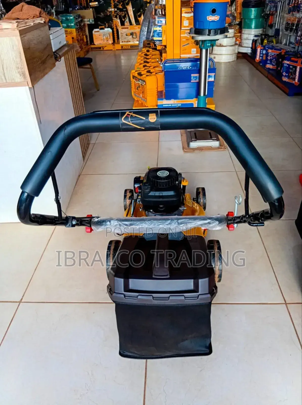 Ingco Gasoline Lawnmower
