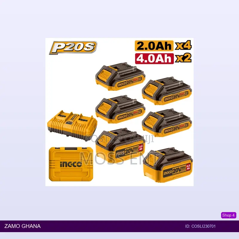 P20s Lithiumion Battery and Charger - Cosli230701