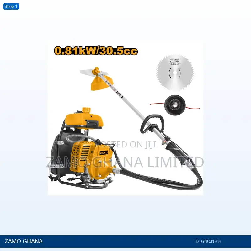 Gasoline Grass Trimmer and Bush Cutter 0.81kw - Gbc31264