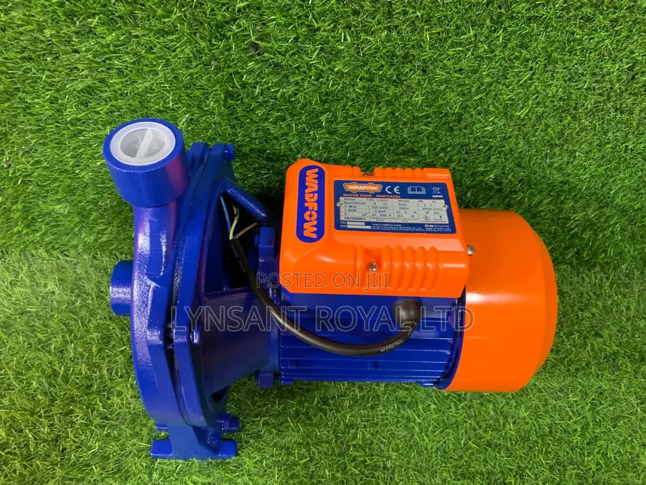 Water Pump 2.0hp - Wwpca052