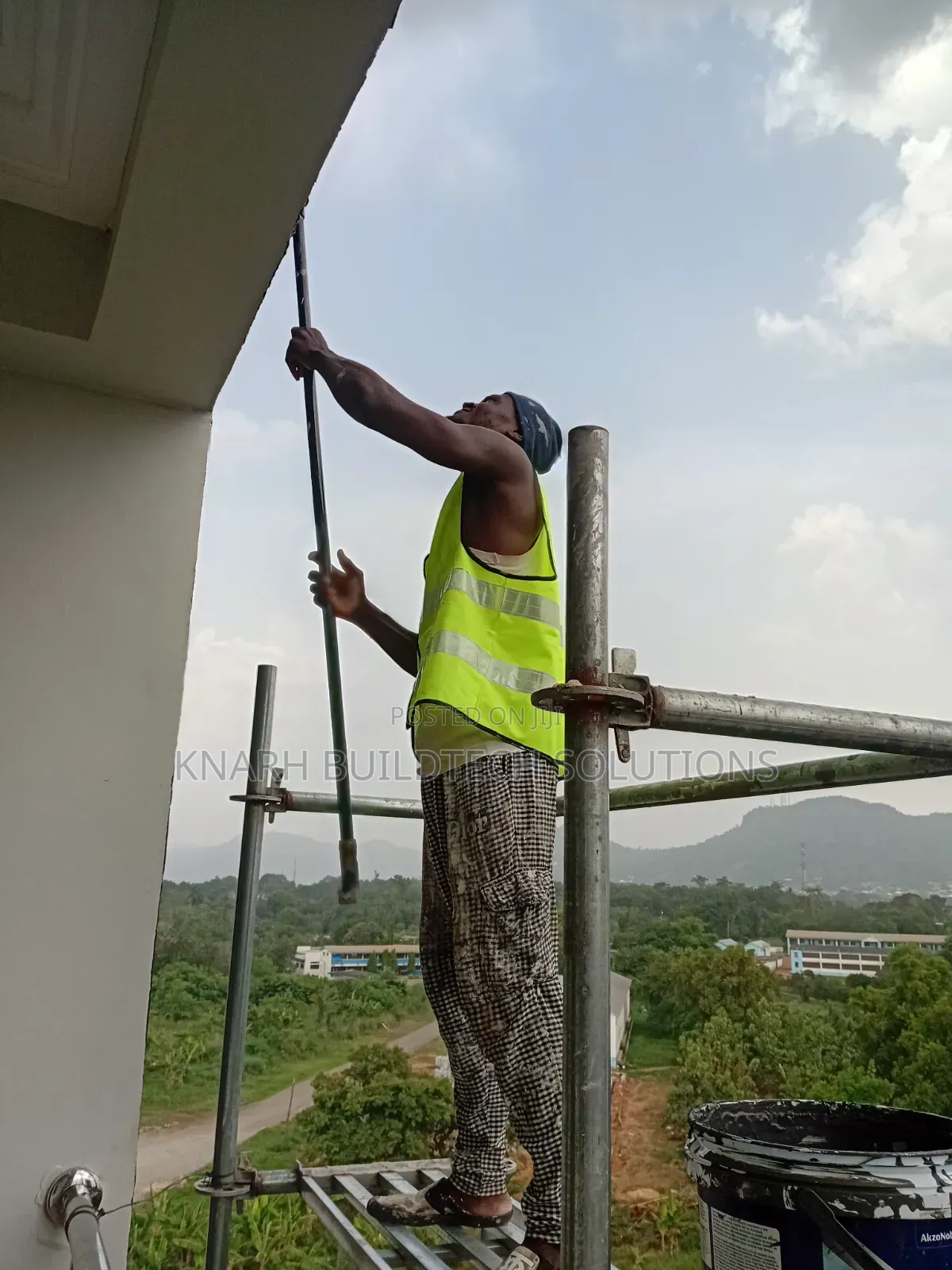 Professional Painter