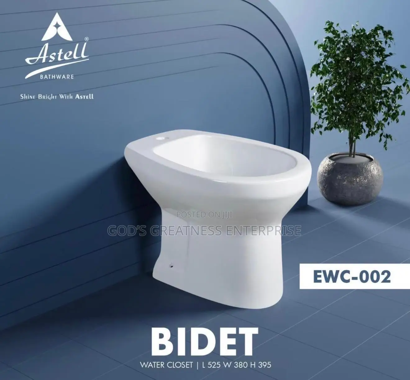 Bidet Seat