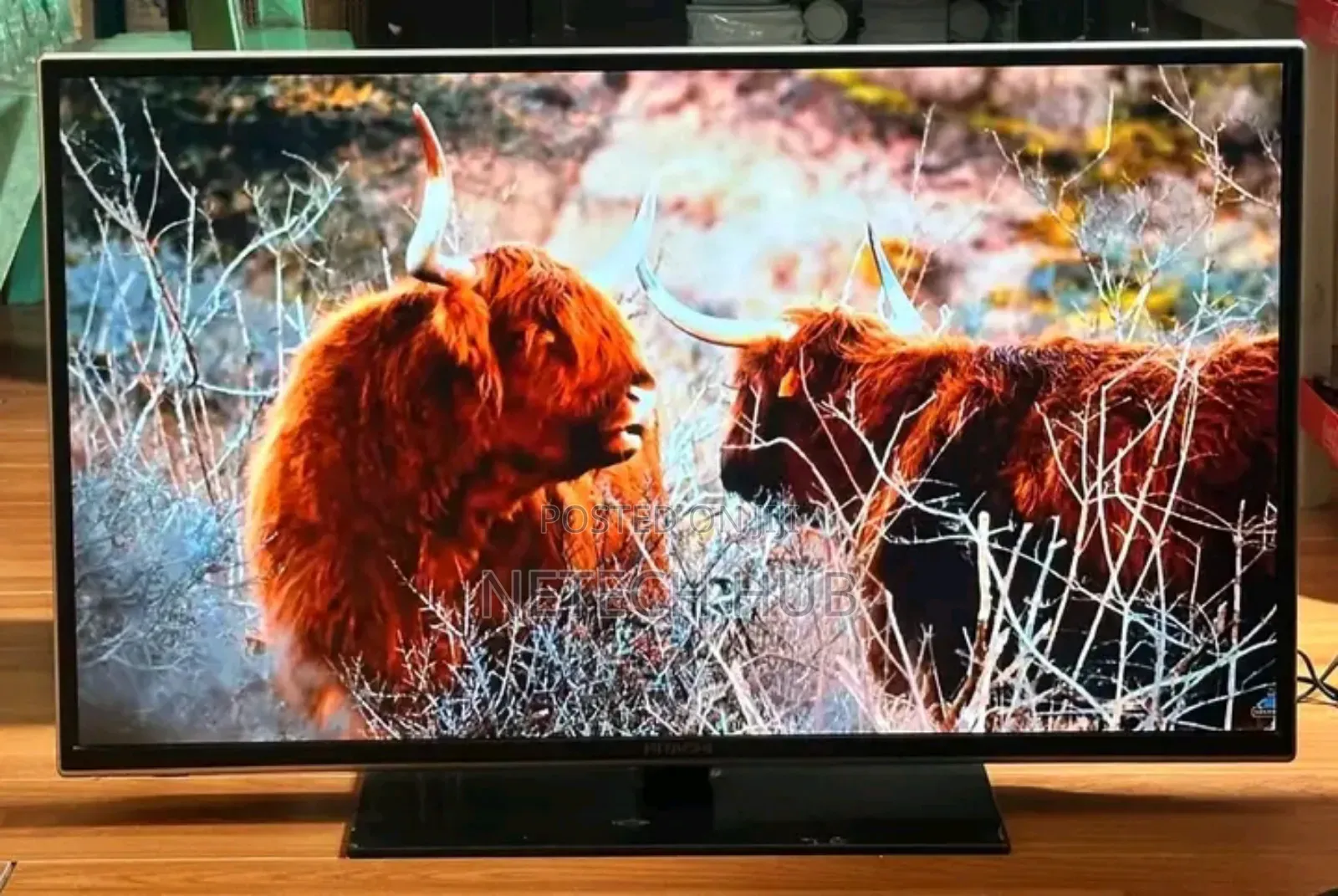 Toshiba 43inches Tv