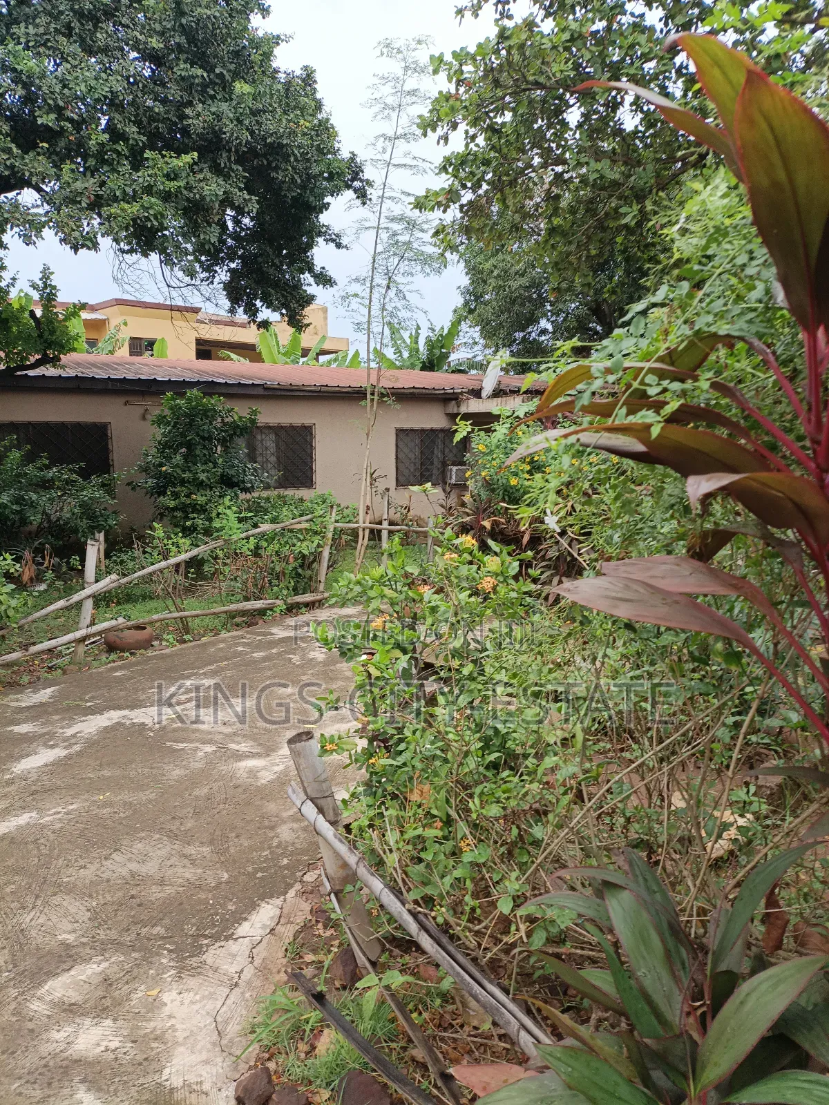 1 Plot of Land for Sale at Tesano