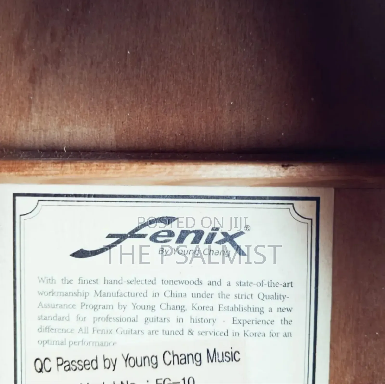 Fenix Fg10 Young Chang Acoustic Guitar
