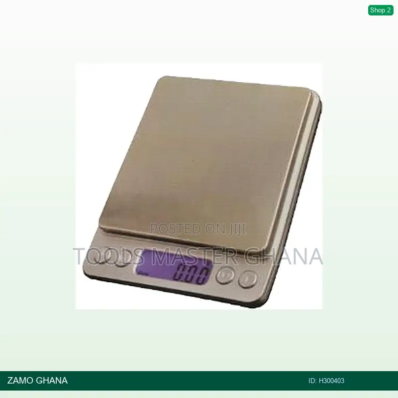 500g Jewelry Scale 0.1g - H300403