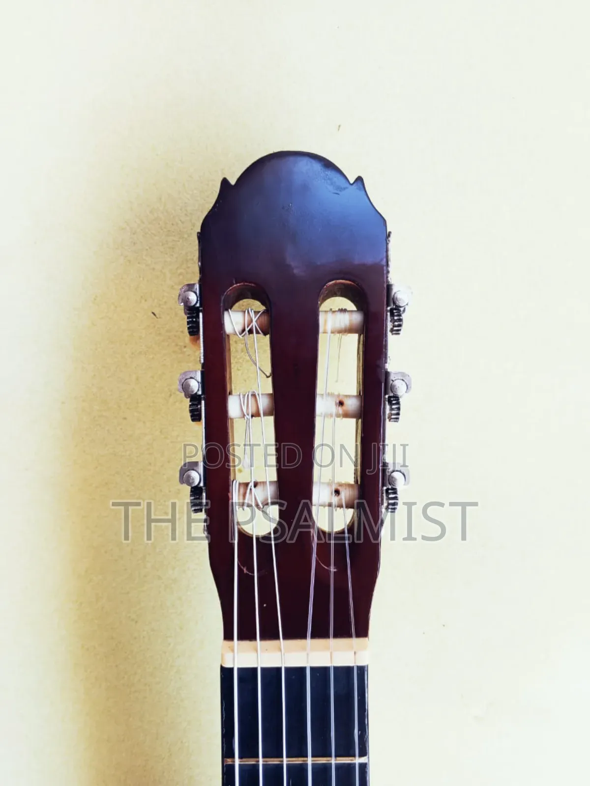 Paloma Pl 20 Classical Guitar
