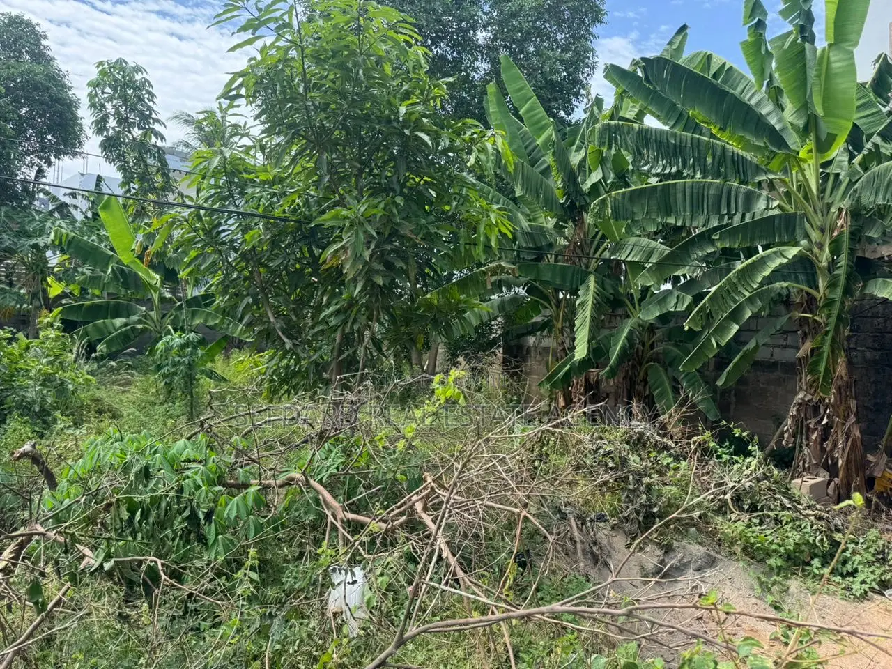 40 X 65 Plot of Land for Sale at Tantra Hills Around Rockies