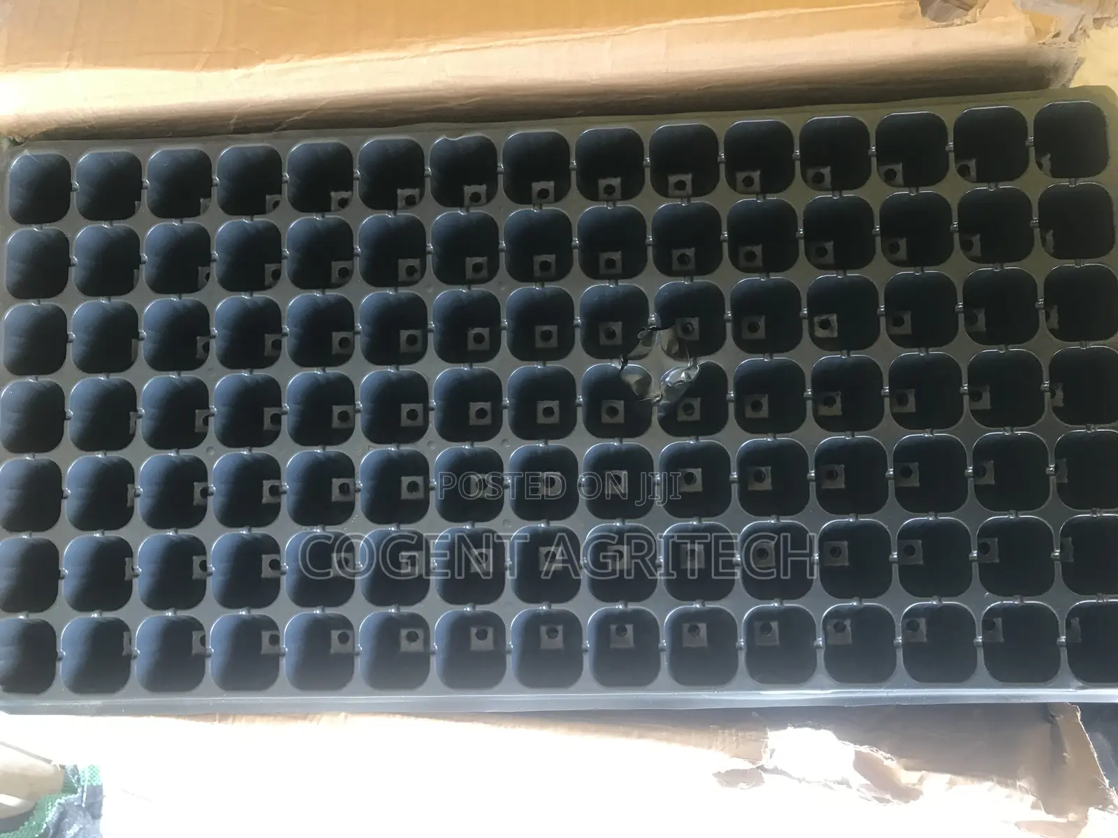 Seedlings/Nursery Trays (200 Cells)