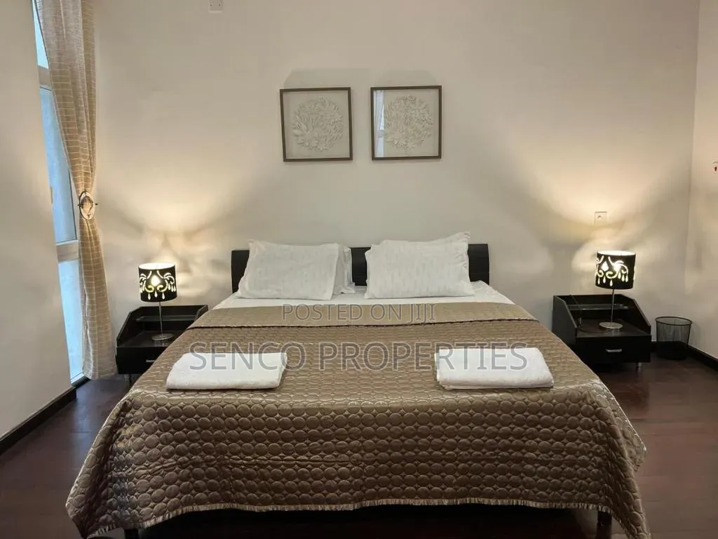 Furnished 4bdrm House in A&C Mall Area for rent