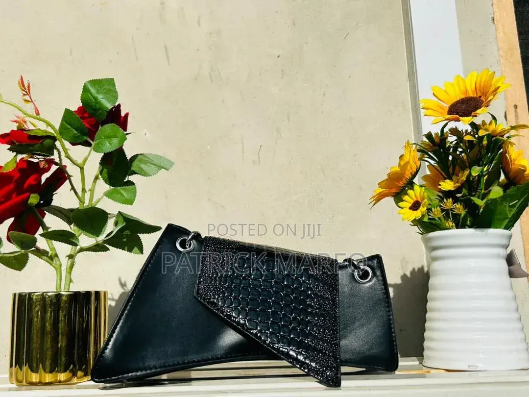 Ladies Luxry Hand Bag